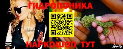 дживик Нальчик