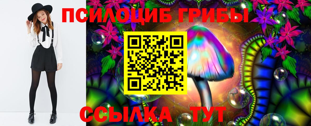Галлюциногенные грибы Psilocybine cubensis Алейск